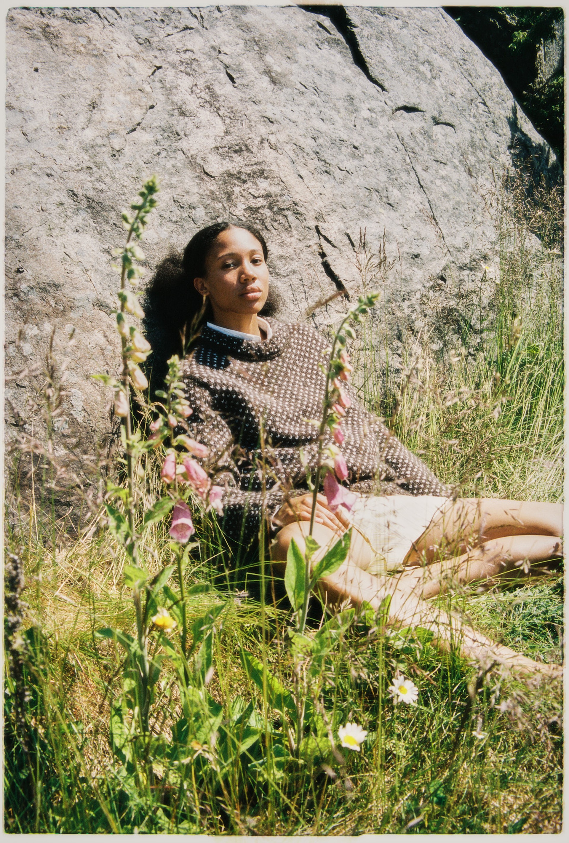 Seagulls perched on a rocky cliff, with one in flight above, against a textured stone background.