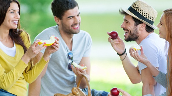 4 Personen beim Picknick im Park