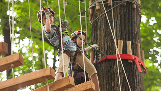 Kinder im Hochseilgarten