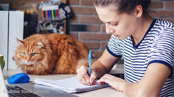 Studentin beim Lernen - Katze schaut zu