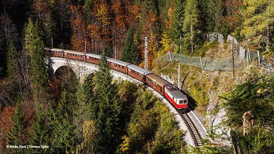 Zug fährt über eine Brücke in einer bewaldeten Gegend