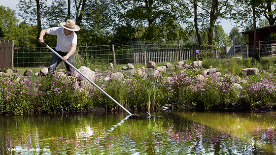 Gärtner säubert Naturteich