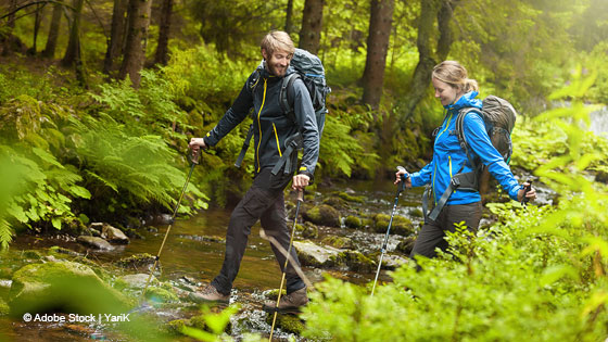 wandern im wald