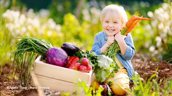 Kleinkind freut sich über Gemüse im Garten