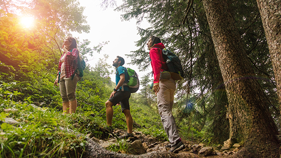 Personen im Wald beim Wandern