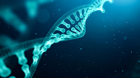 DNA Strang