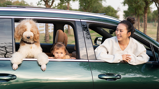 Grünes Auto aus dessen Fenster ein Hund, ein Kind und eine Frau schauen