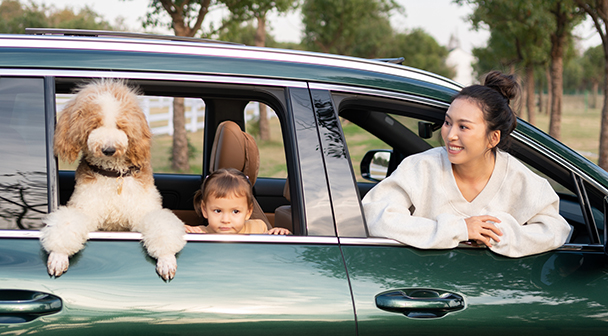Hund, Kind und Frau schauen fröhlich aus dem offenen Autofenster