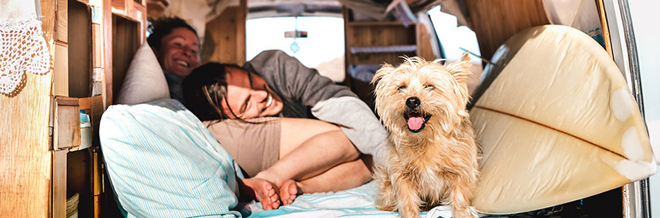 im Campingvan - Paar und Hund