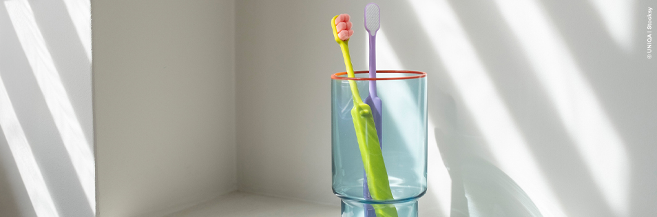 2 Zahnbürsten in einem Glas
