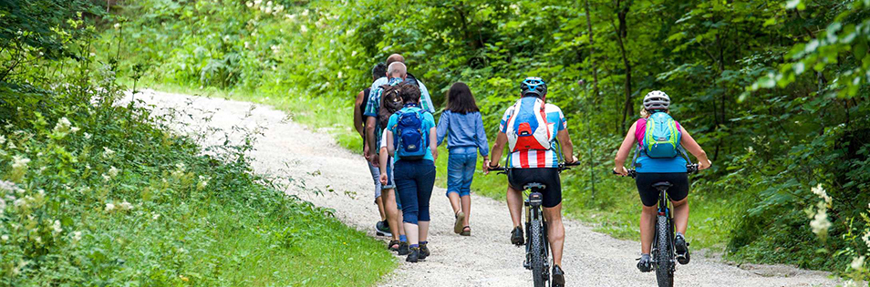 Gruppe Radfahrer und Wanderer im Wald unterwegs
