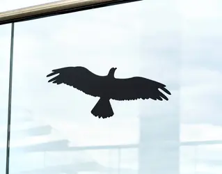 So können Sie einen Vogelschlag am Fenster verhindern