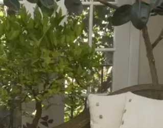 Wintergarten Pflanzen – Passende Gewächse für Ihre Wohnraumerweiterung