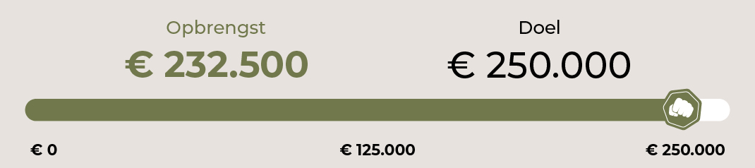 Fundraising progress bar showing €232,500 raised out of a €250,000 goal, with milestones marked at €0, €125,000, and €250,000.