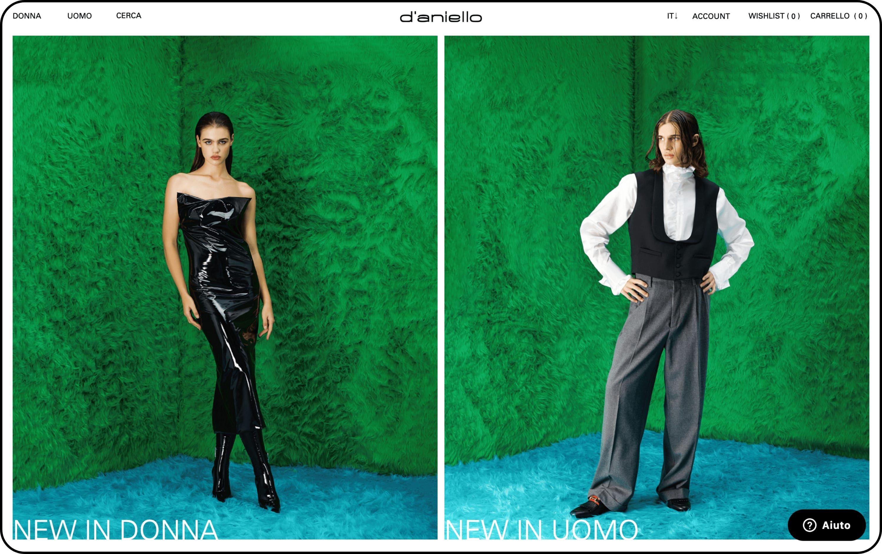 D'Aniello case study hero image