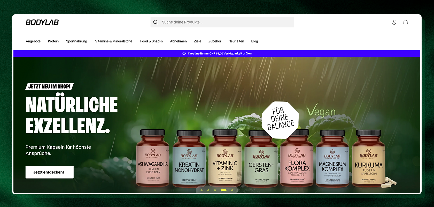 Ein Screenshot zeigt vitafy-bodylab-homepage