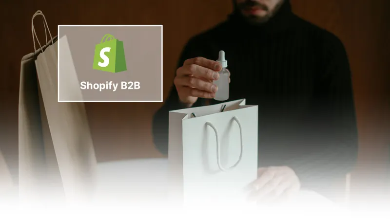Shopify B2B: Die Zukunft des Großhandels auf Shopify Plus – was der Wegfall des Wholesale Channels für Händler bedeutet