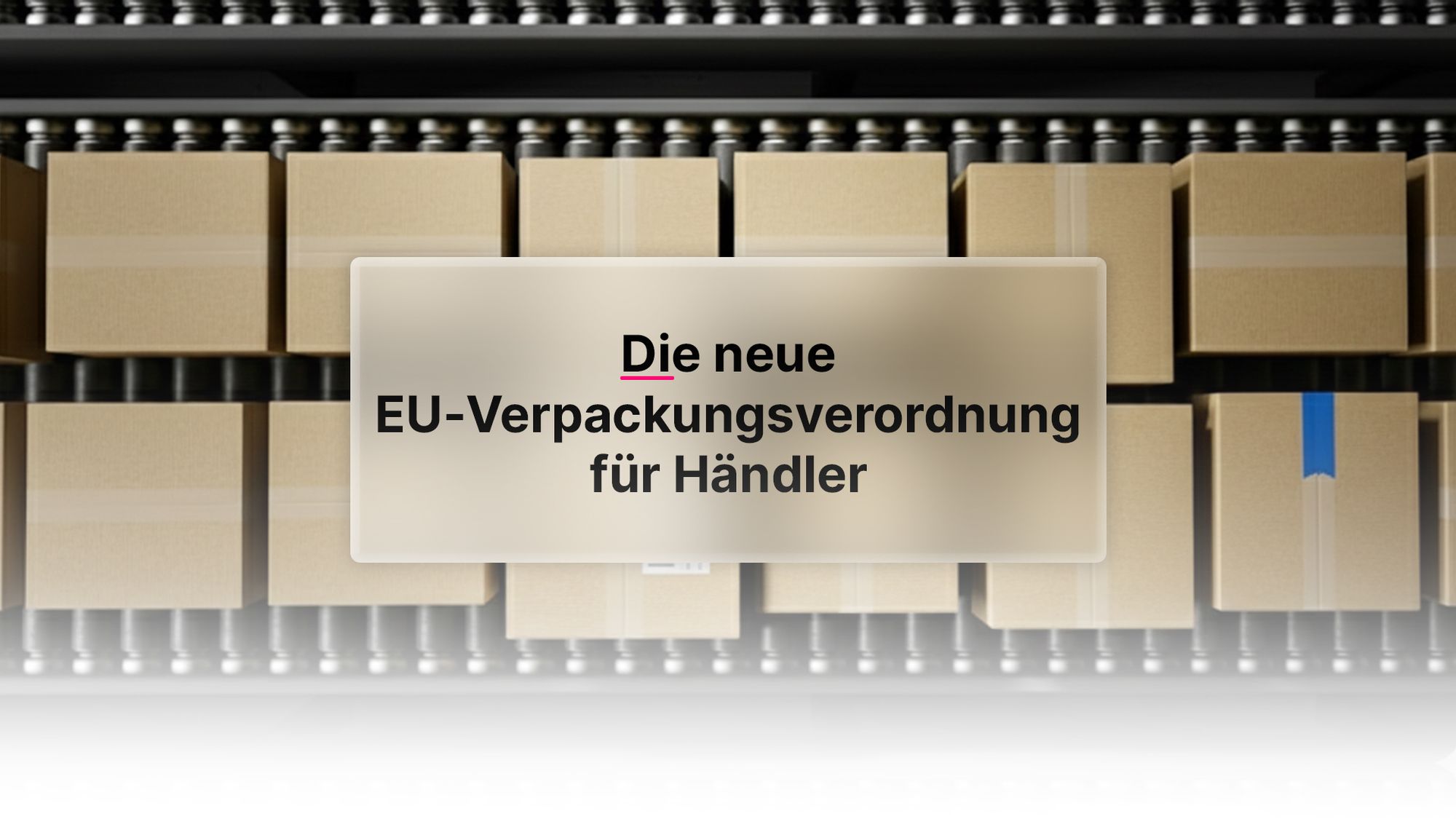 PPWR 2026: Warum die neue EU-Verpackungsverordnung für Shopify-Händler alles verändert
