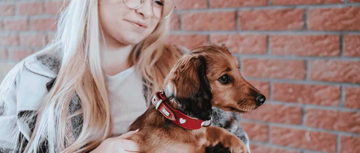 Frau mit langen blonden Haaren hält einen Dackelwelpen mit rotem Halsband vor einer Backsteinmauer im Hintergrund.