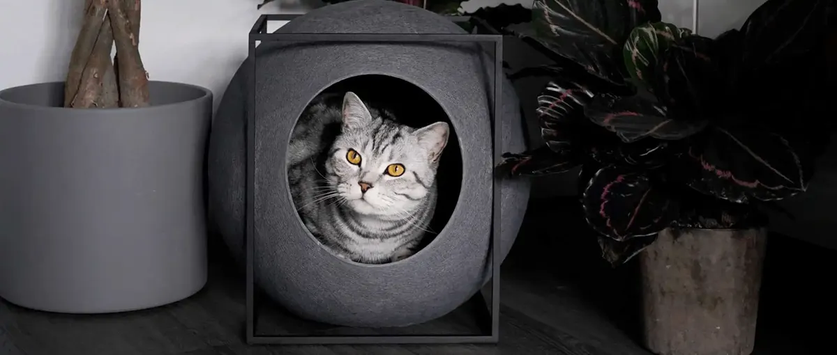 Eine graue Katze mit gelben Augen blickt aus einem kugelförmigen, dunkelgrauen Katzenbett hervor. Sie ist umgeben von Topfpflanzen auf einem dunklen Boden.