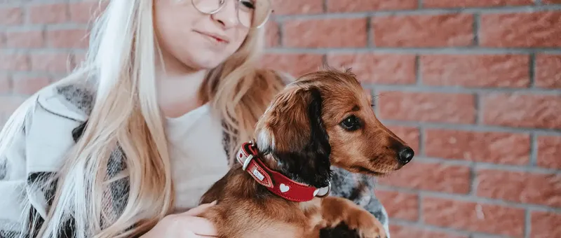 Blonde Frau hält einen kleinen Dackel mit rotem Halsband vor einer Backsteinwand.