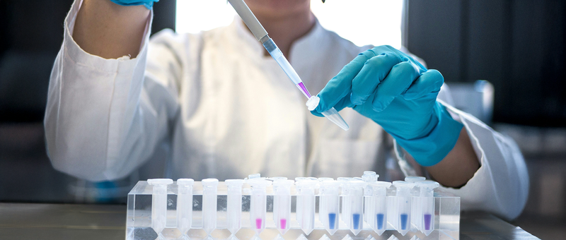 Ein Wissenschaftler in Laborkittel und Handschuhen überführt mit einer Pipette Flüssigkeit in ein Reagenzglas, wobei mehrere Röhrchen in einem Gestell angeordnet sind.