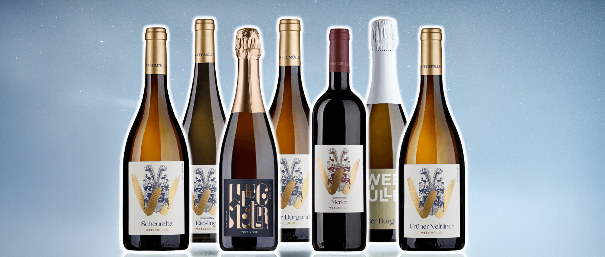 Eine Auswahl von sieben Weinflaschen, darunter Rot-, Weiß- und Schaumweine, arrangiert vor einem hellblauen Hintergrund mit Farbverlauf.