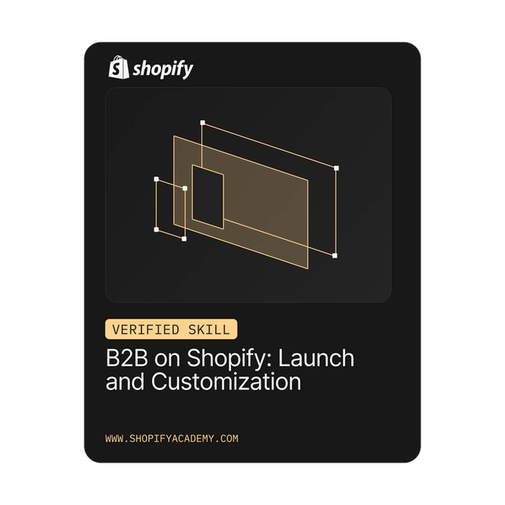 b2b-on-shopify-launch-and-customization