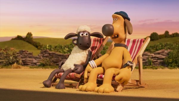 SHAUN HET SCHAAP