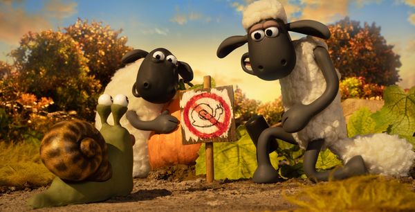 Shaun het Schaap