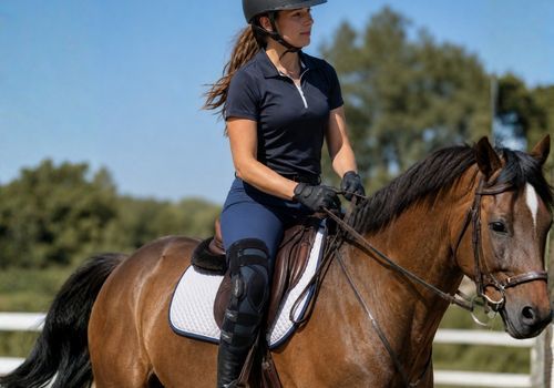 A woman in equestrian gear rides a brown horse in an outdoor arena, with trees in the background.
