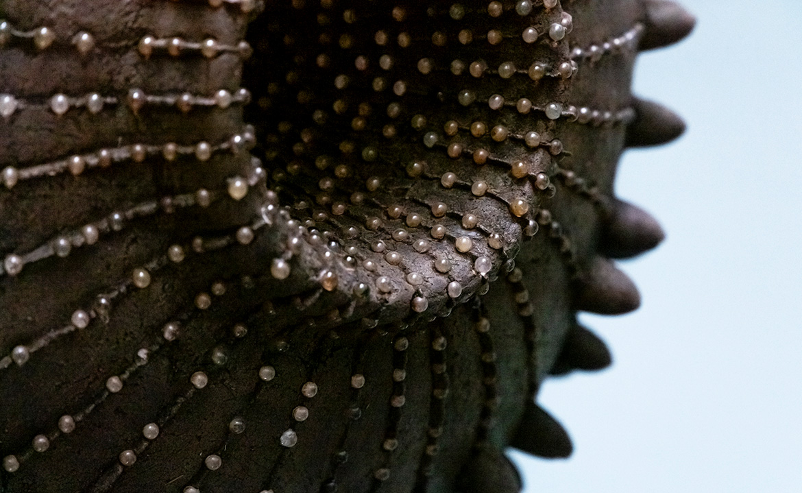 Astral nouvelle expo vente au concept store