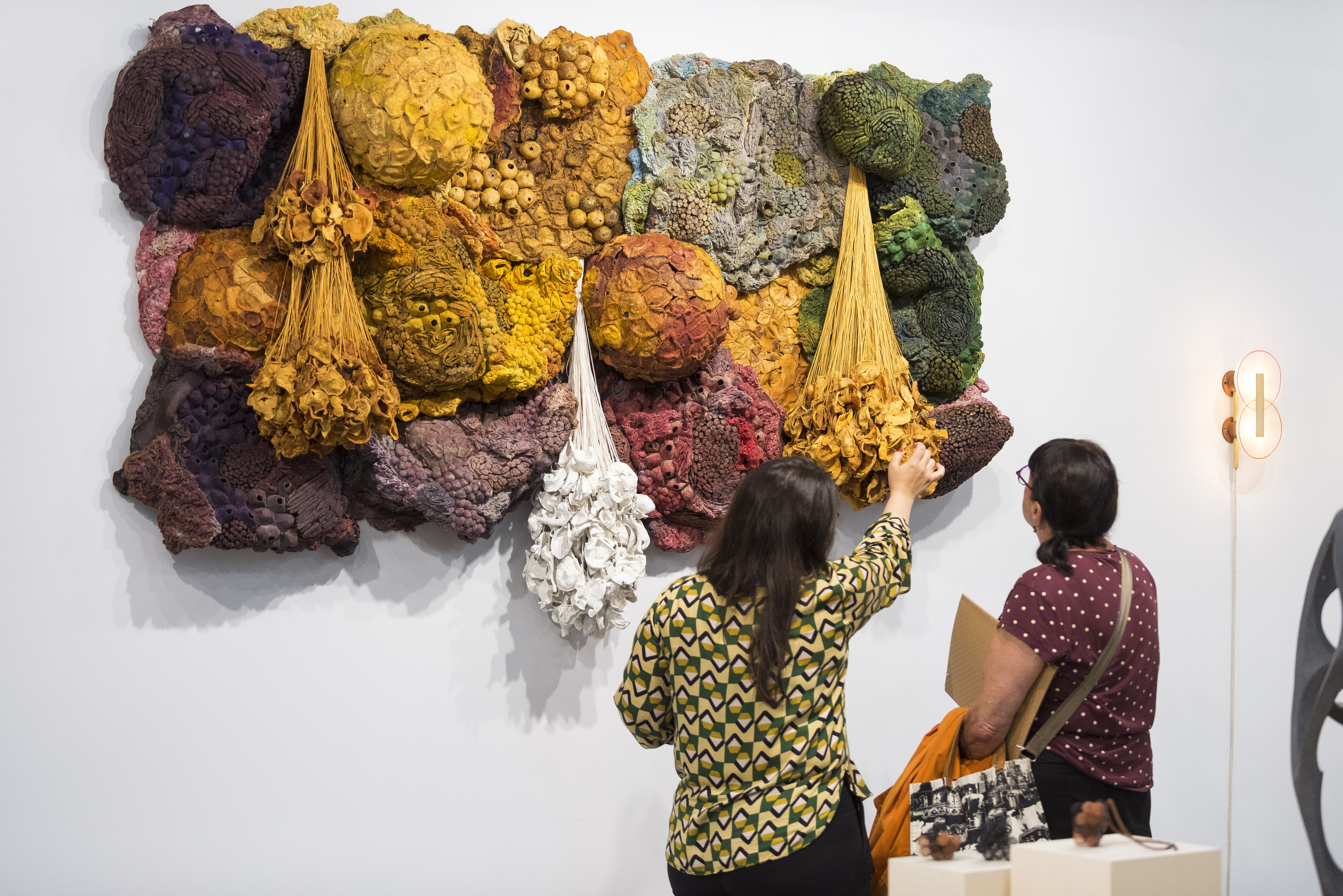 revelations-candidature