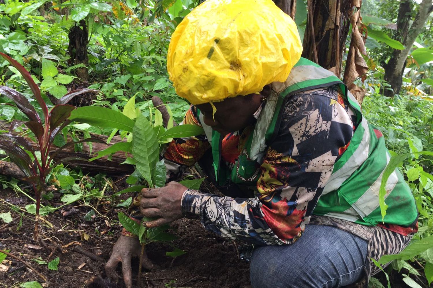 Photos from the field - Sierra Leone