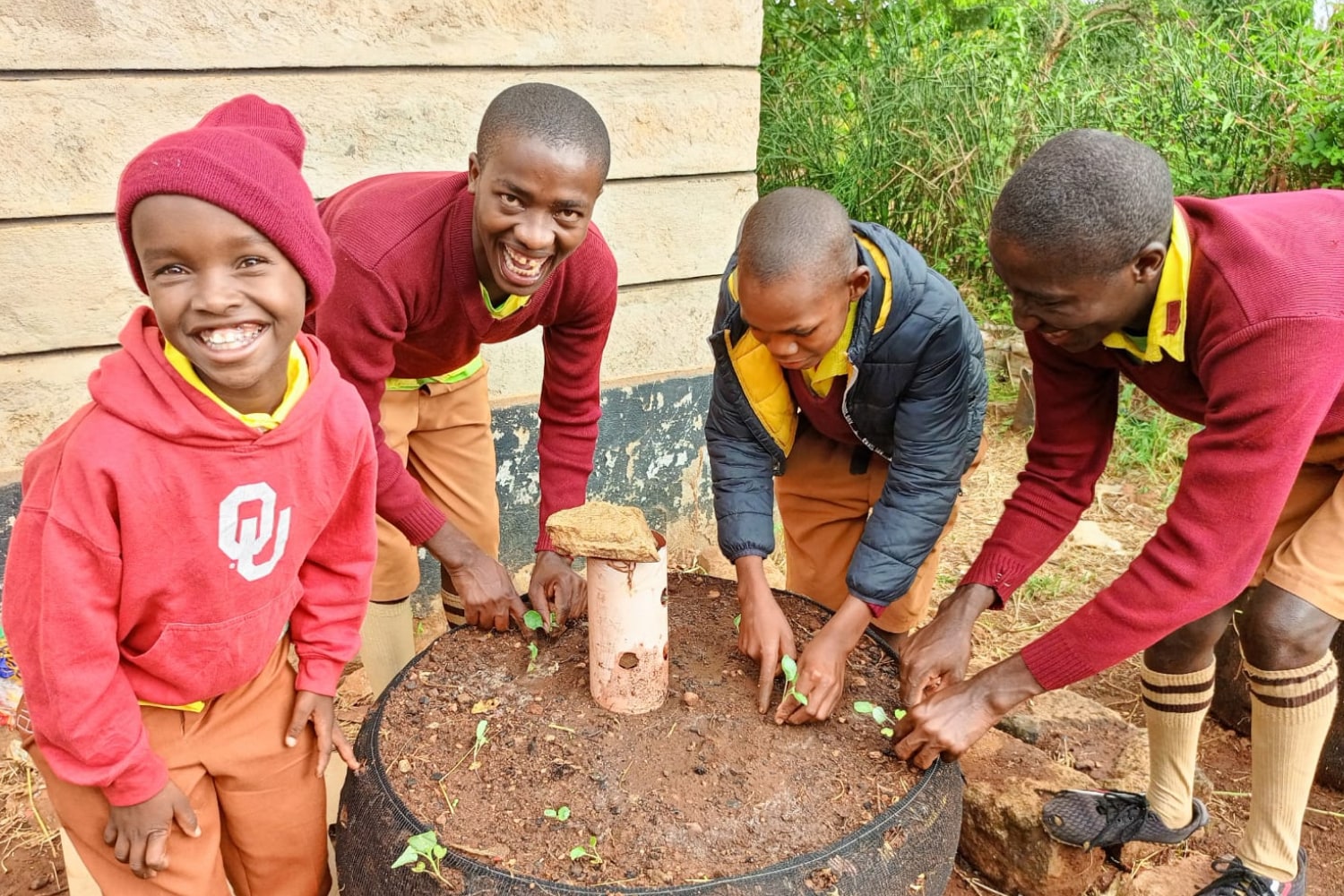 Building 20 Vertical Gardens In Kenya