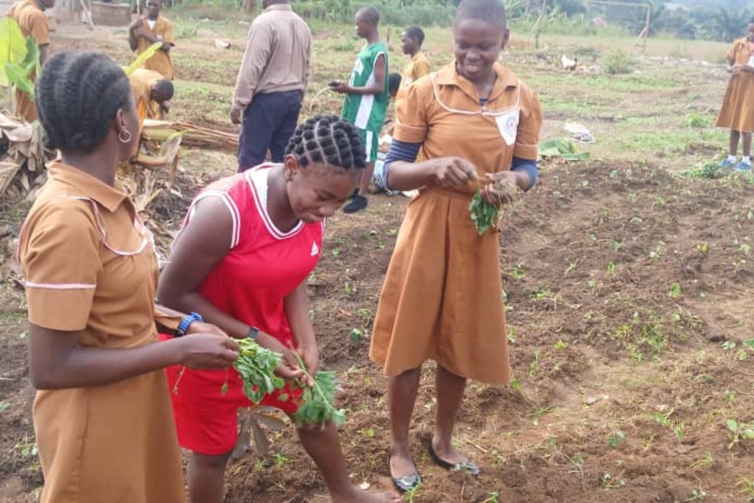 Students in orange uniforms and casual clothing pulling plants from tilled soil in an outdoor garden plot.