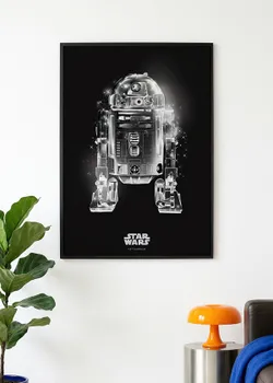 Star Wars™