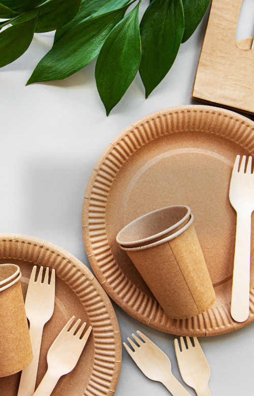 nachhaltiges Einweggeschirr auf einem Tisch verteilt