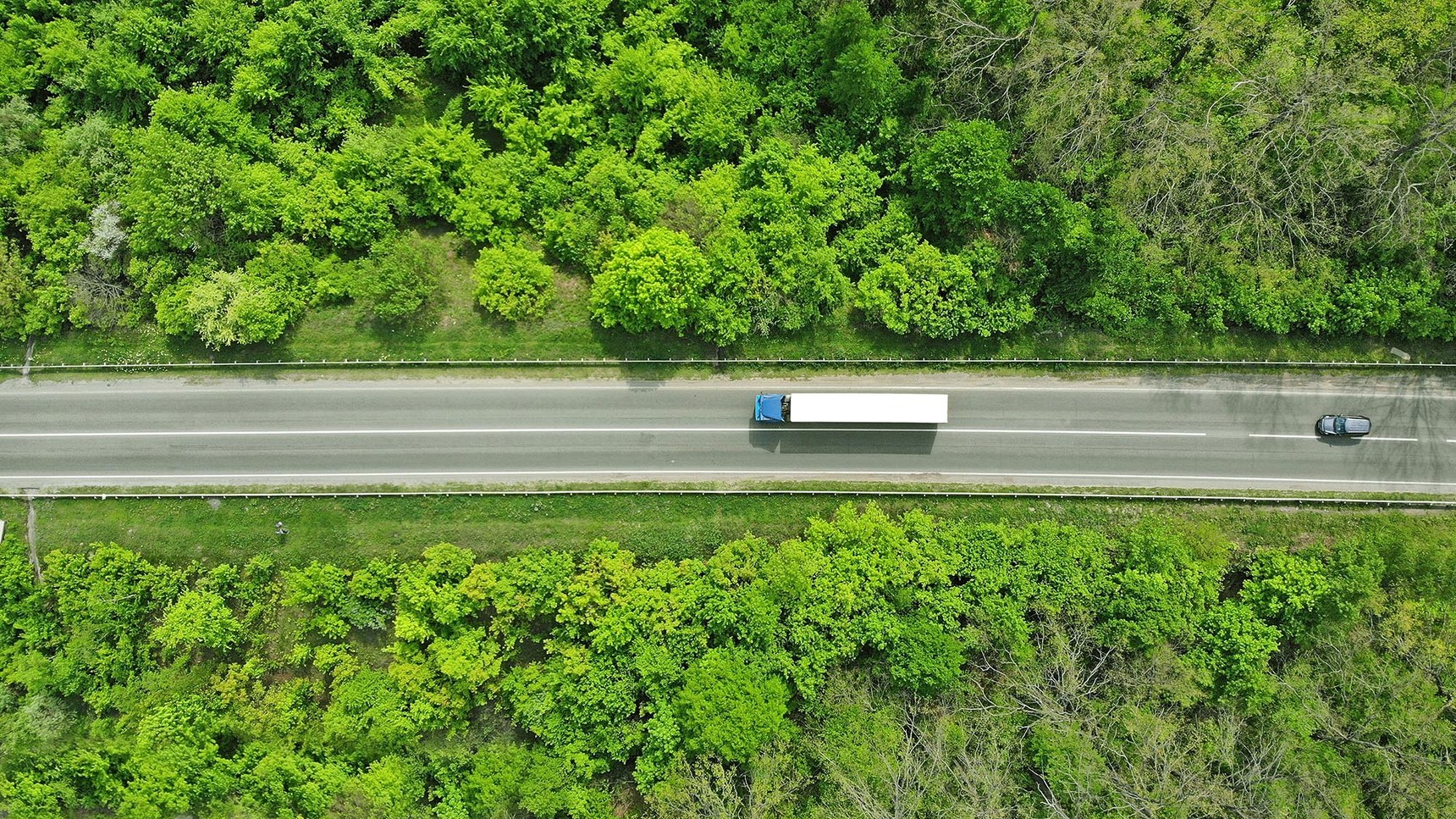 forest road