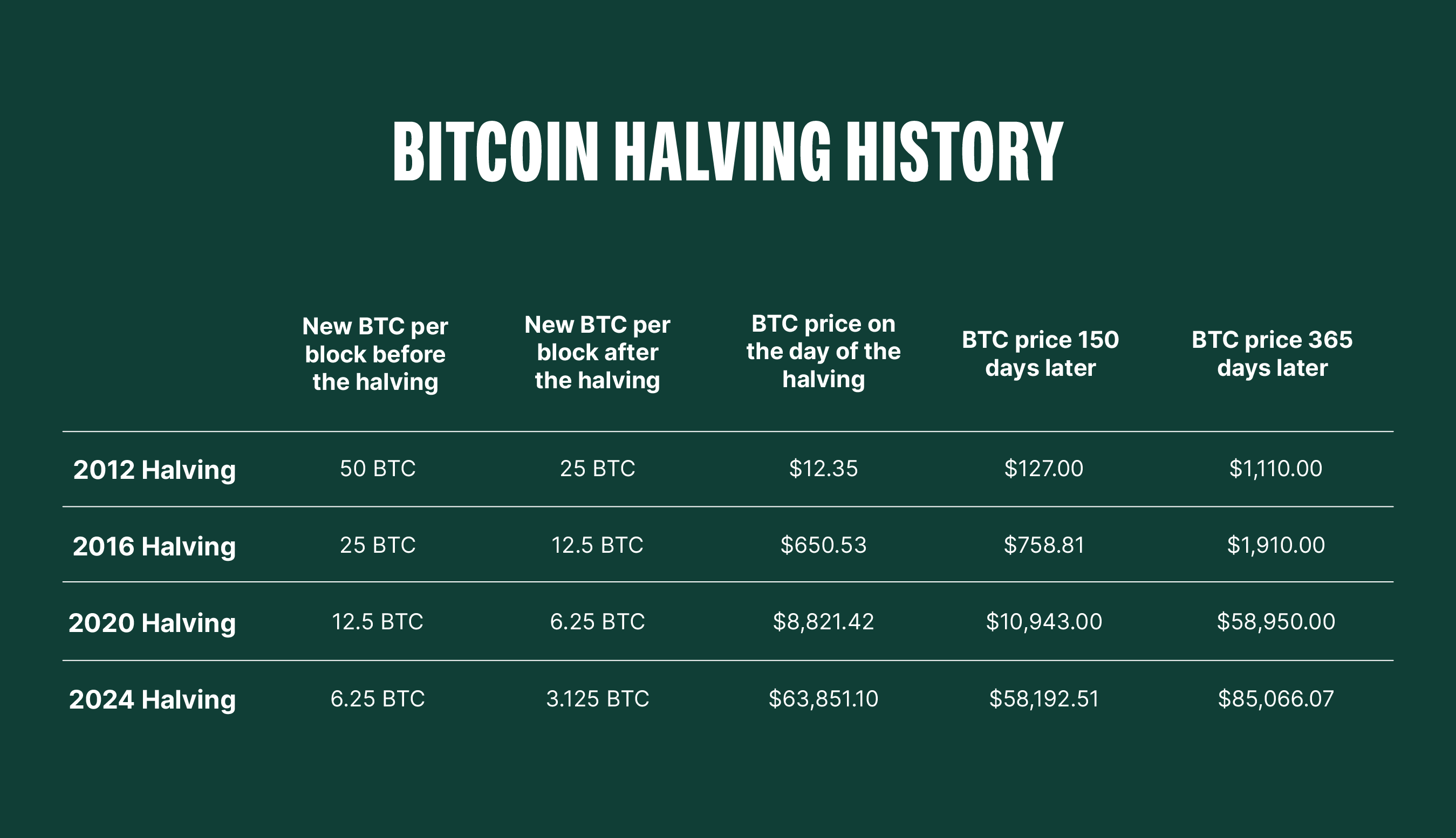 Bitcoin halving: What is it and how does it work?