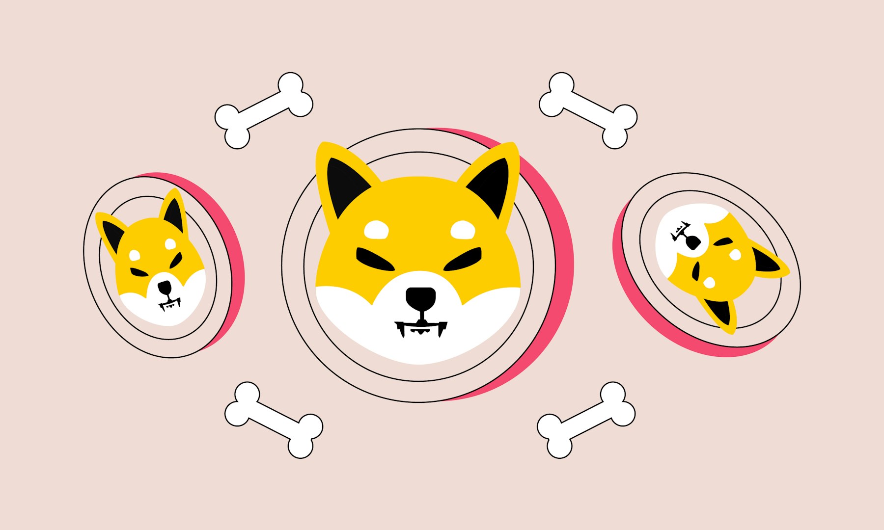 22 11 Blog Academy Shiba Inu Deep Dive 1