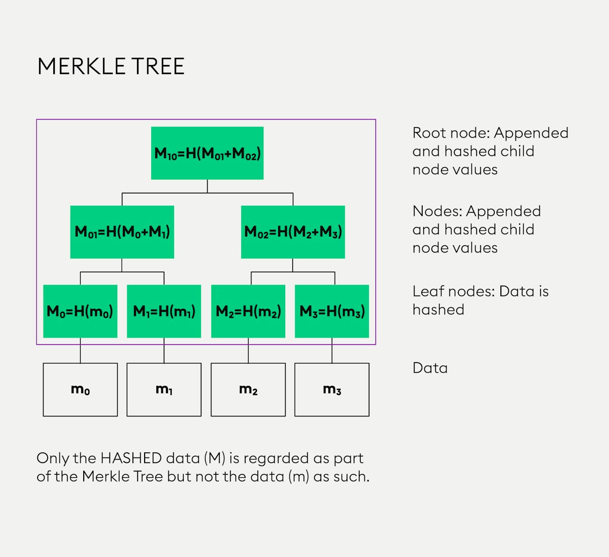 Everything you need to know about Merkle trees | Bitpanda Academy