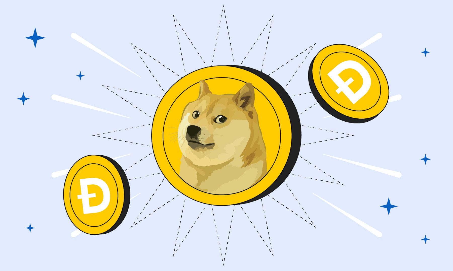 22 11 Blog Academy Shiba Inu Deep Dive