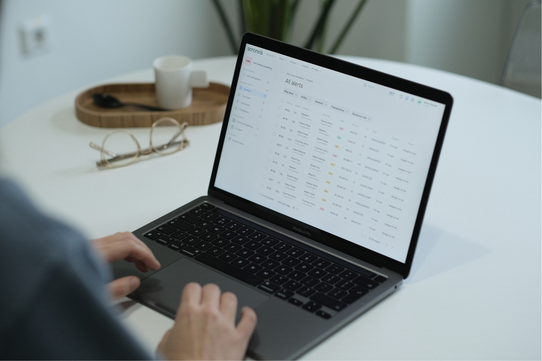 Data analyst using Sentinels Software