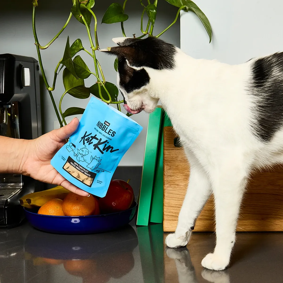 Tuna nibbles 15g
