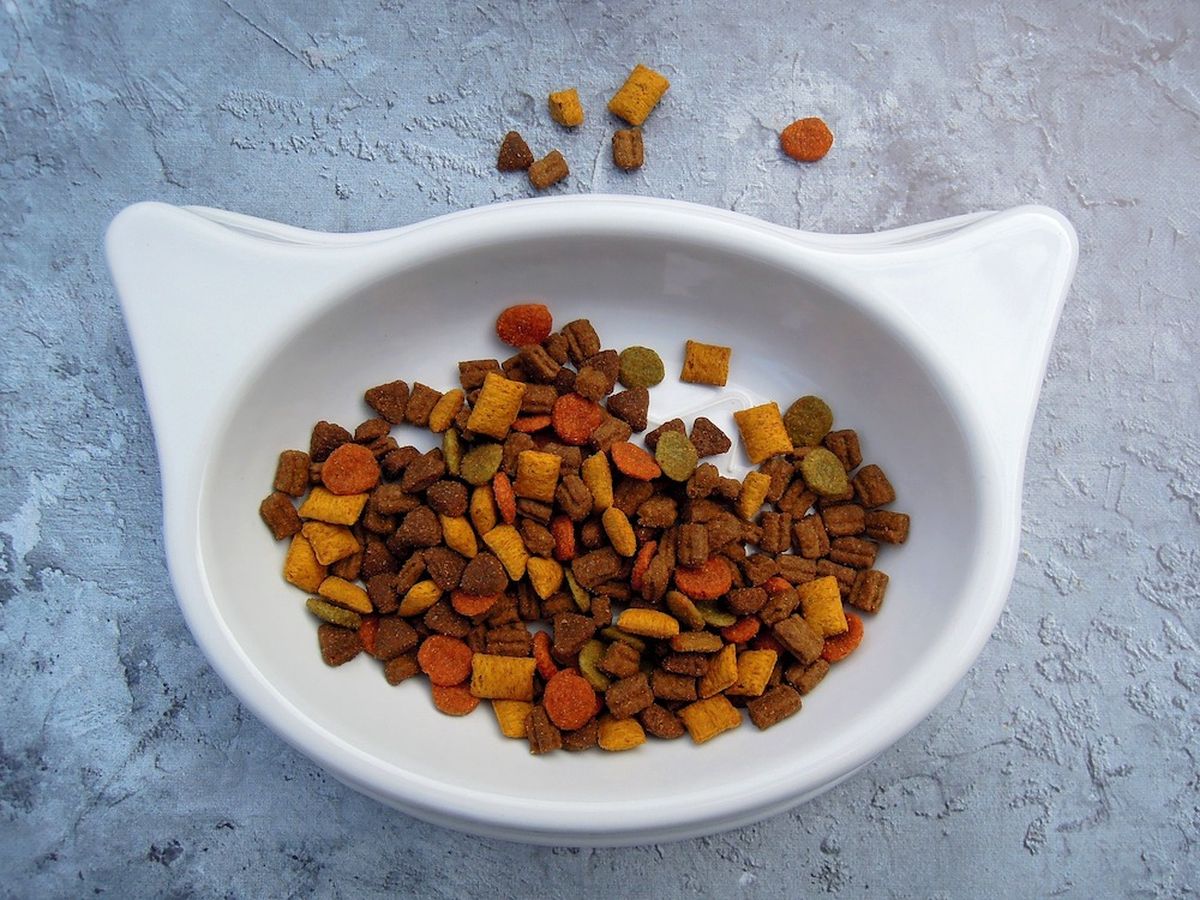 Close up shot from above of a bowl full of kibble. The bowl is white and is shaped like the head of a cat