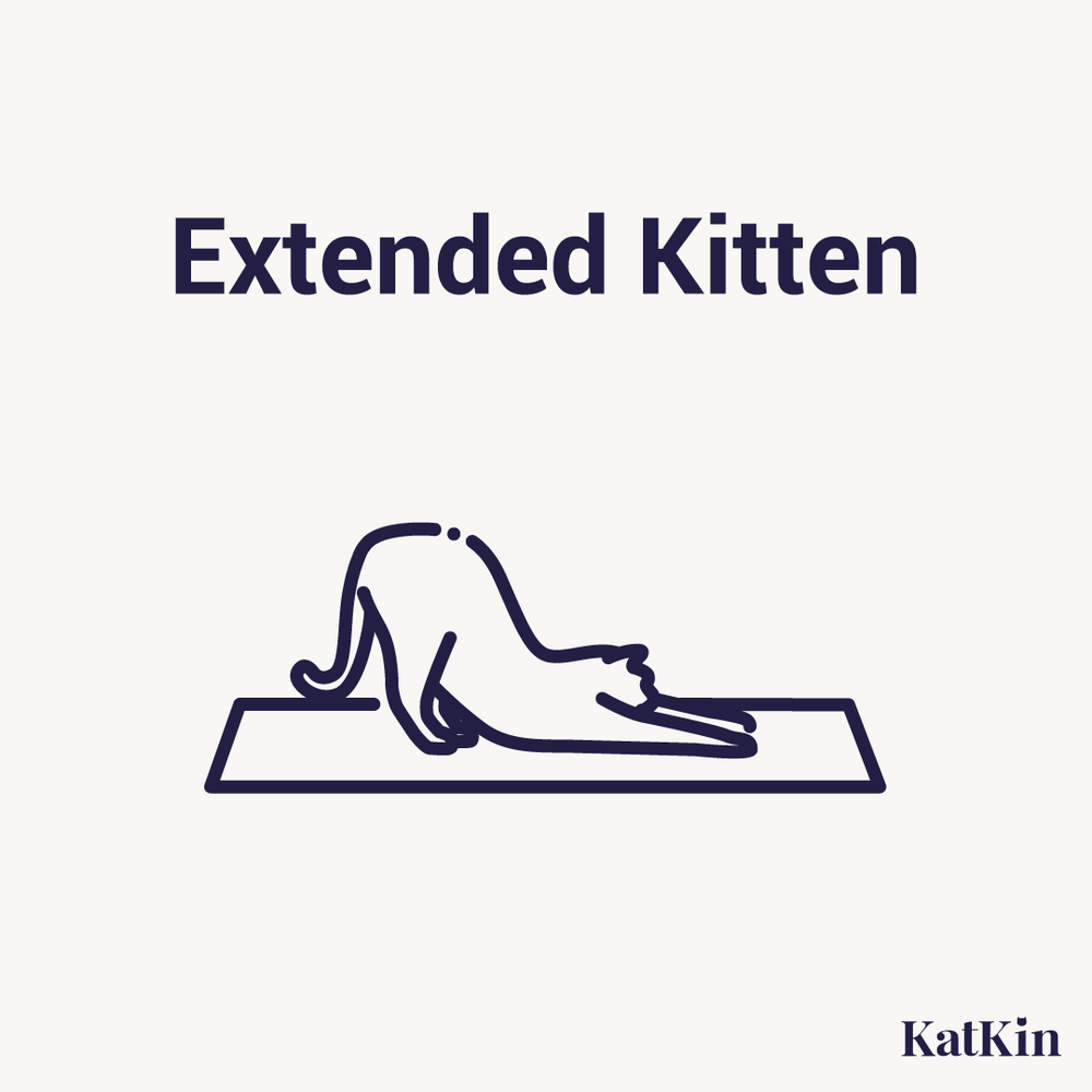 Illustration of a cat stretching on a yoga mat with the caption "Extended Kitten"