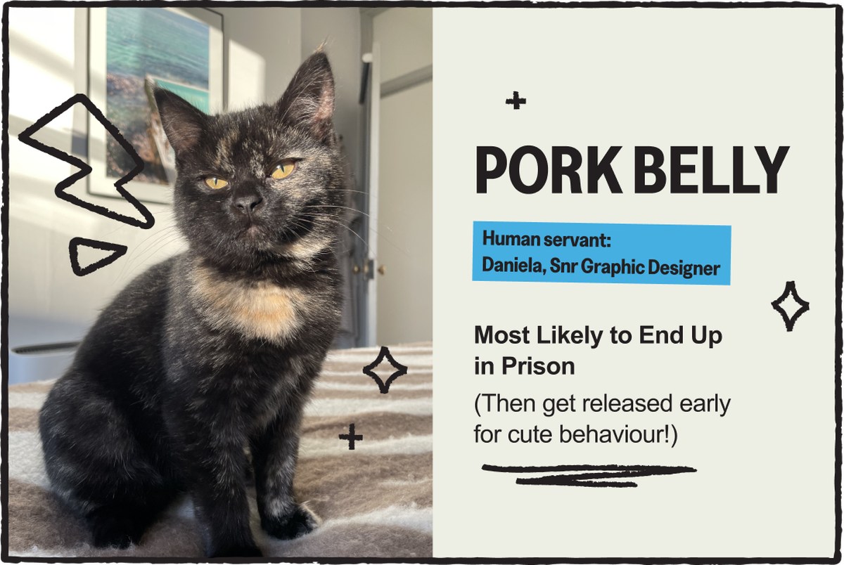pork belly