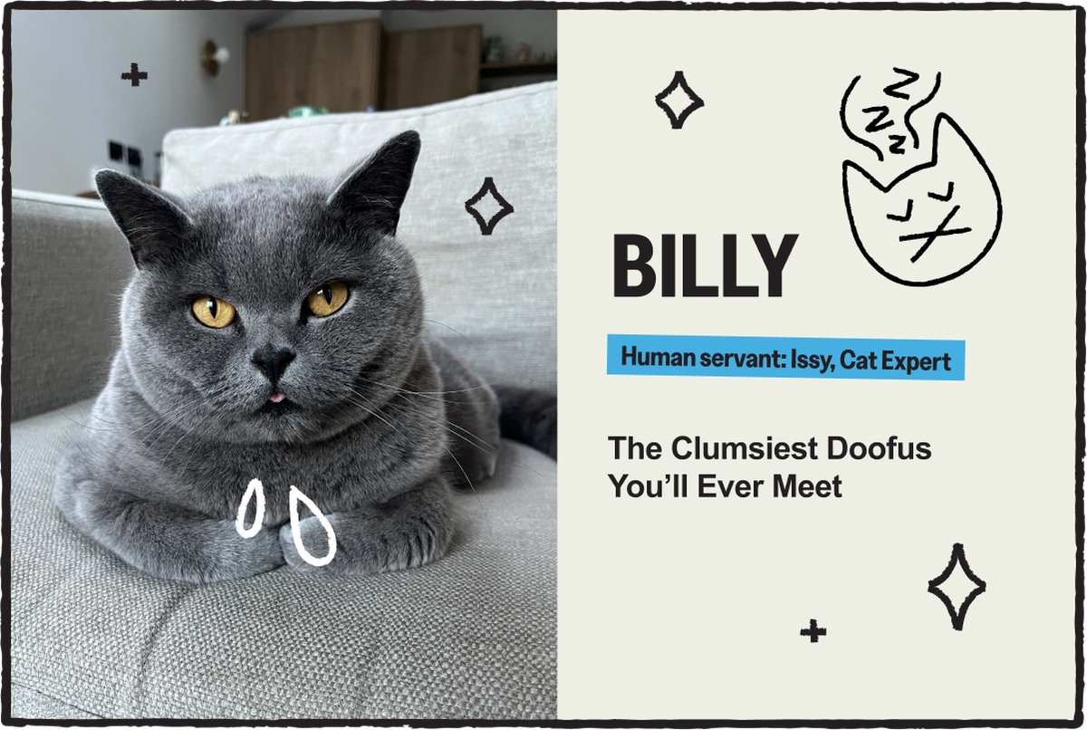 billy