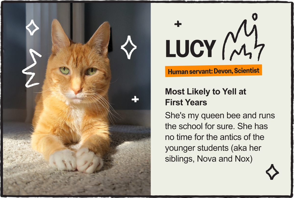 lucy